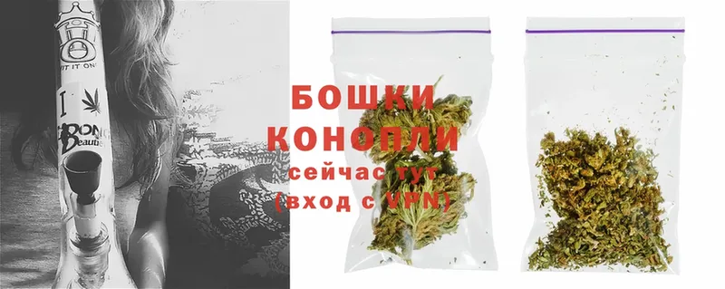 Бошки марихуана Amnesia  продажа наркотиков  Фролово 